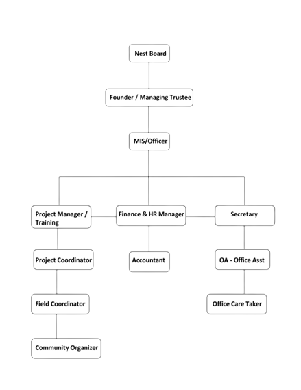 organizaion structure